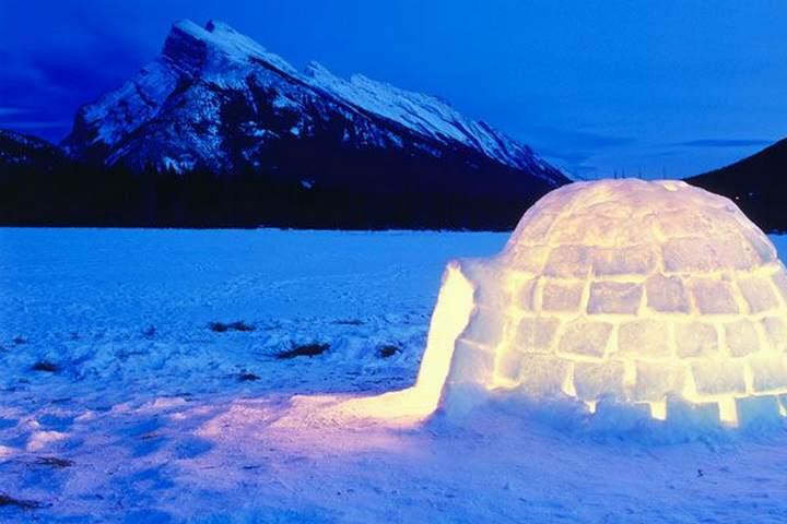 11.EXPEDITION IGLOO
