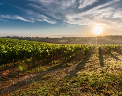 Enfin du séminaire dans le beaujolais