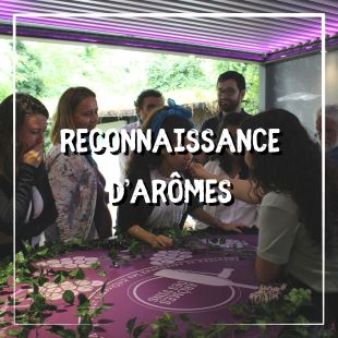 Recnonnaissance d'arôme