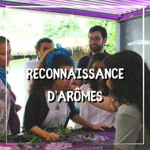 Reconnaissance arômes