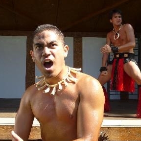 animation haka entreprise